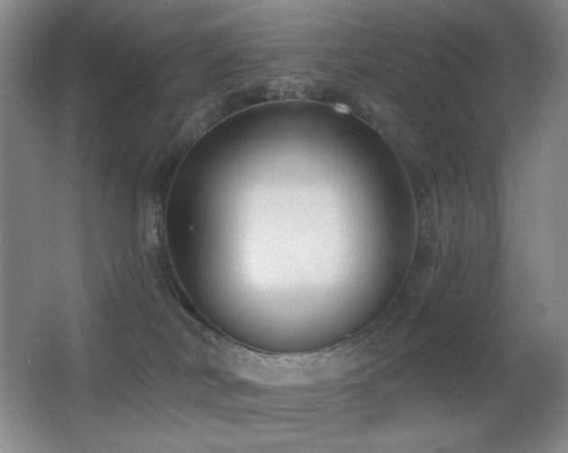 X0000066990038200603241328