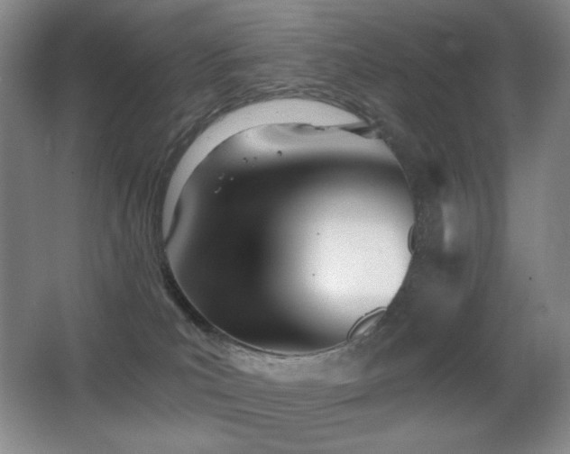 X0000066990039200603241328