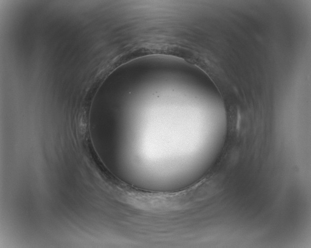 X0000066990040200603241328