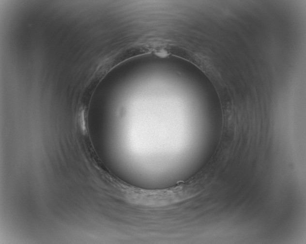 X0000066990042200603241328