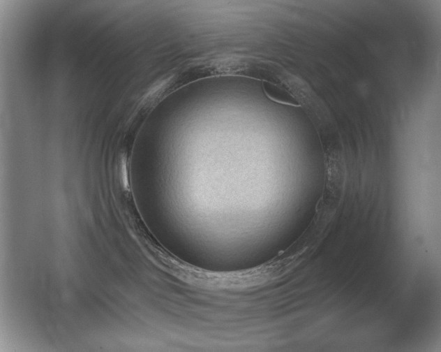 X0000066990046200603241327