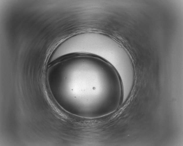 X0000066990049200603241327