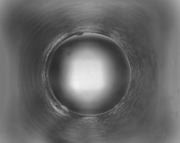 X0000066990050200603241327