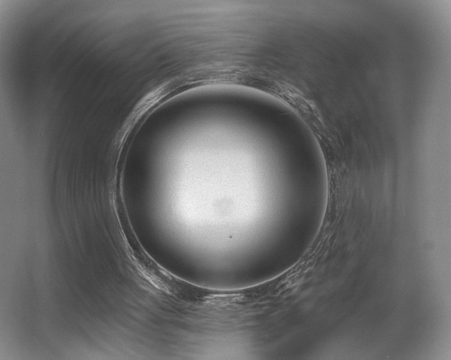 X0000066990051200603241327