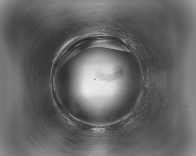 X0000066990052200603241327