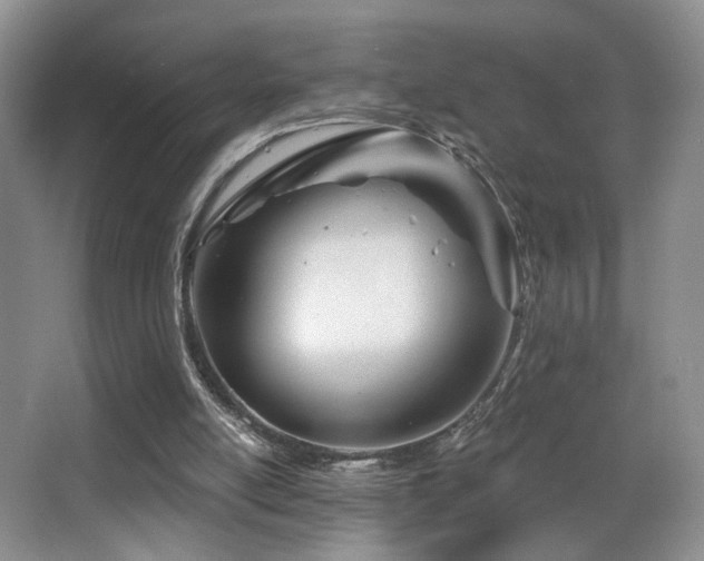X0000066990054200603241327