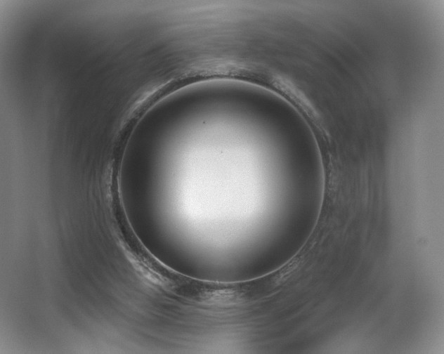 X0000066990058200603241327
