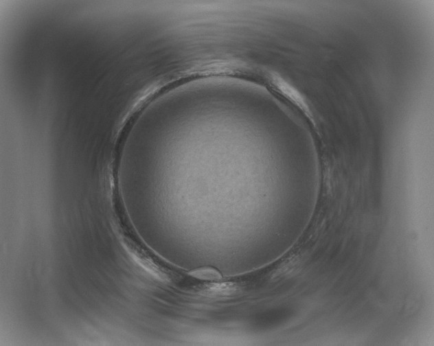 X0000066990059200603241327