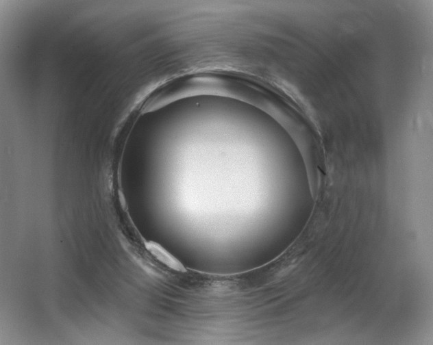 X0000066990060200603241327