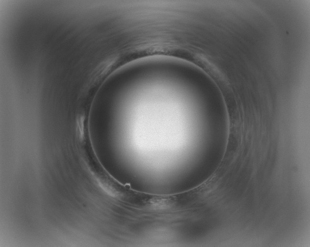 X0000066990070200603241327
