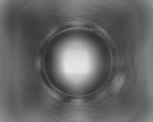 X0000066990071200603241327