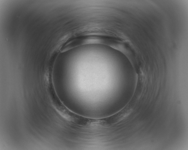 X0000066990072200603241327