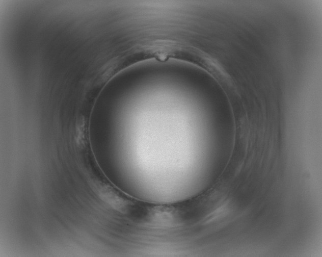 X0000066990073200603241327