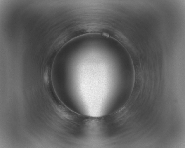 X0000066990074200603241327