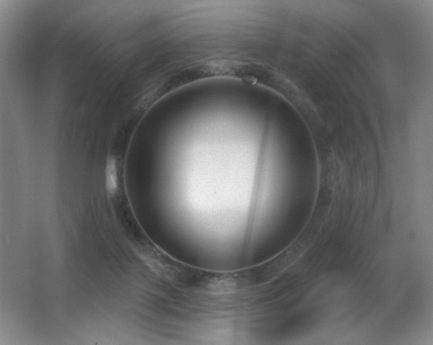 X0000066990075200603241327