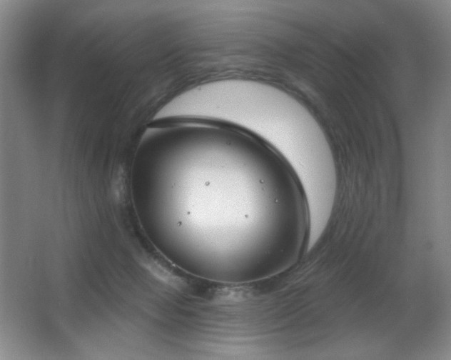 X0000066990077200603241327
