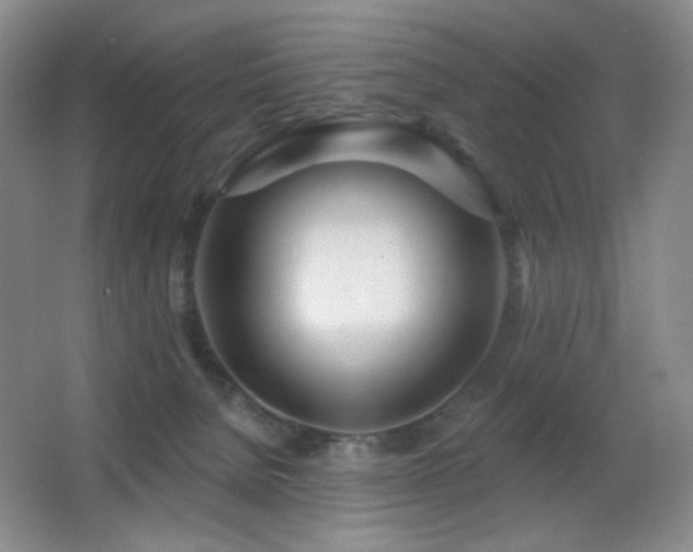 X0000066990080200603241327