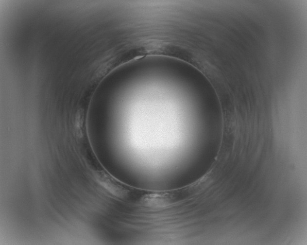X0000066990082200603241327