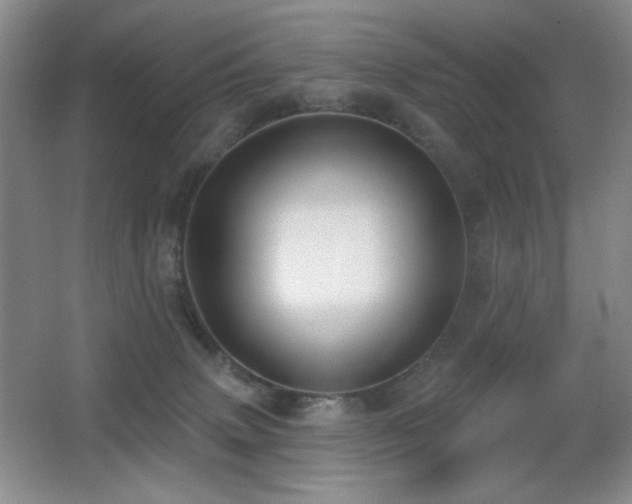 X0000066990083200603241327