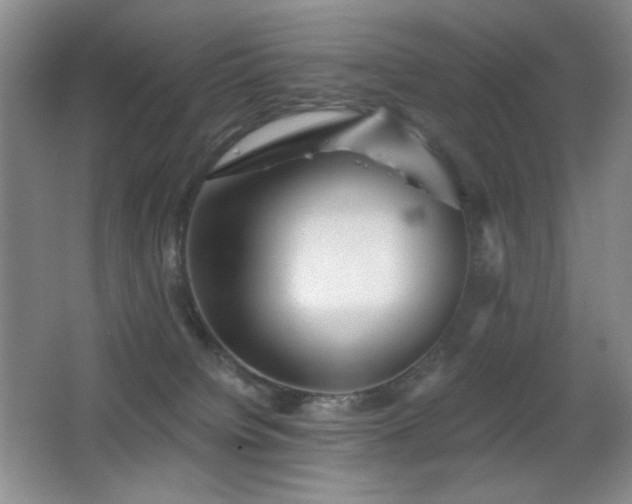 X0000066990084200603241327