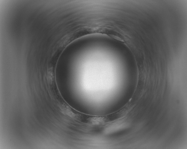 X0000066990085200603241327
