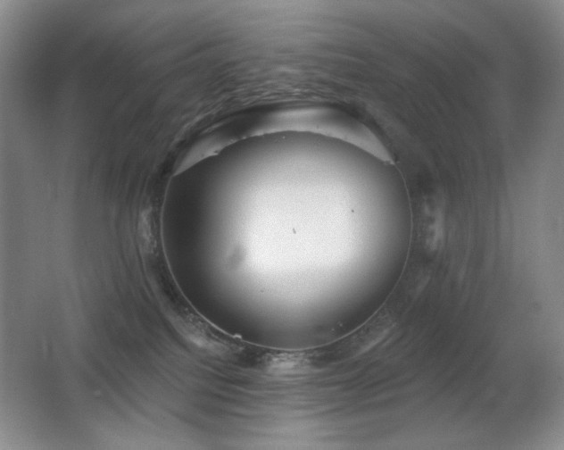 X0000066990088200603241327