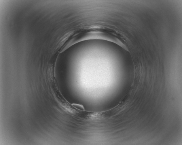 X0000066990092200603241327