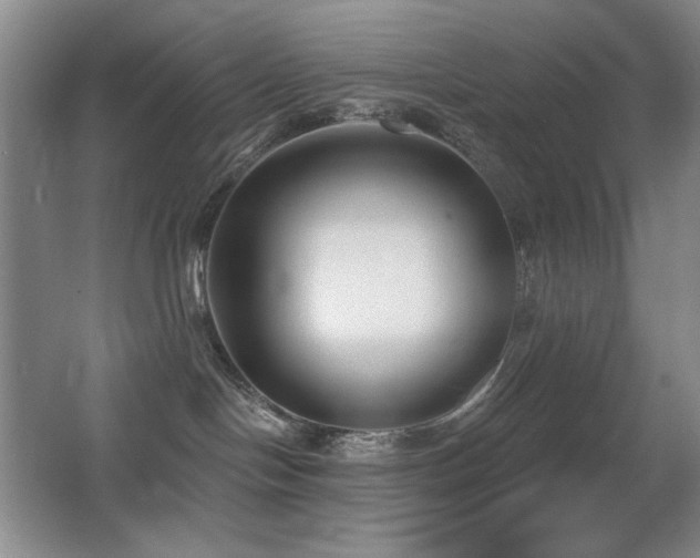 X0000066990094200603241327