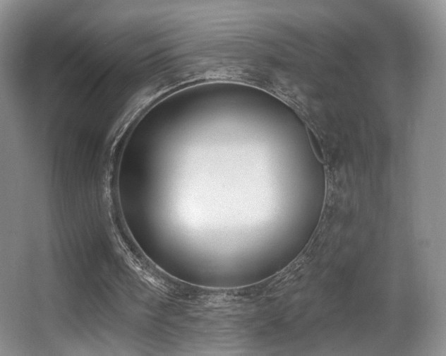 X0000066990098200603241327