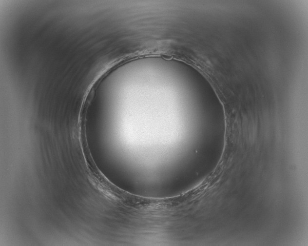 X0000066990100200603241327