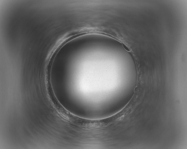 X0000066990103200603241326