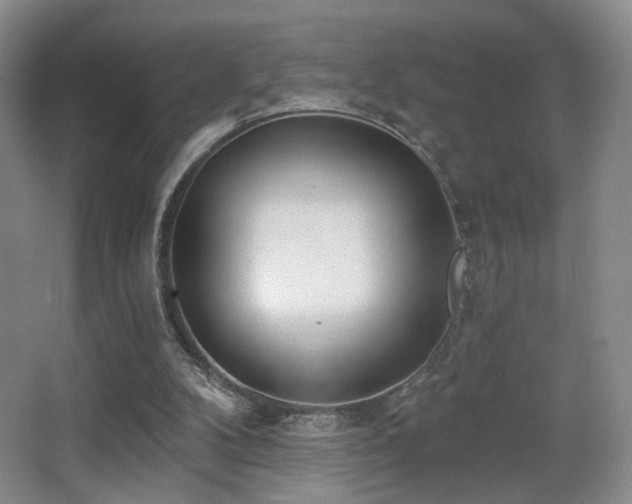 X0000066990104200603241326