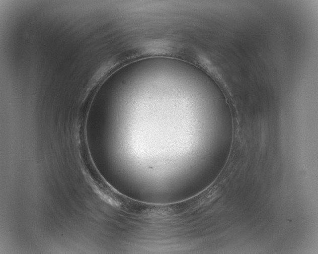 X0000066990106200603241326
