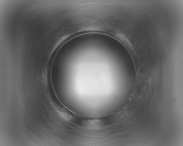 X0000066990108200603241326