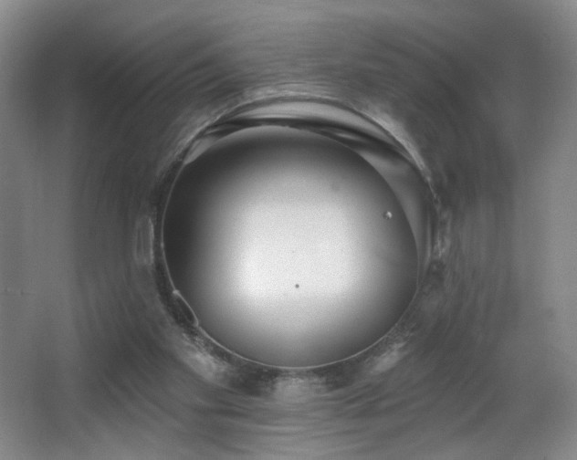 X0000066990109200603241326
