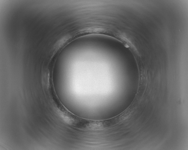 X0000066990110200603241326