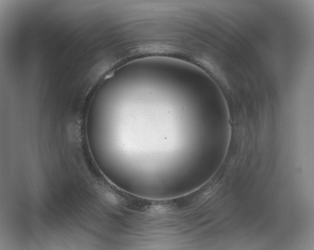 X0000066990111200603241326