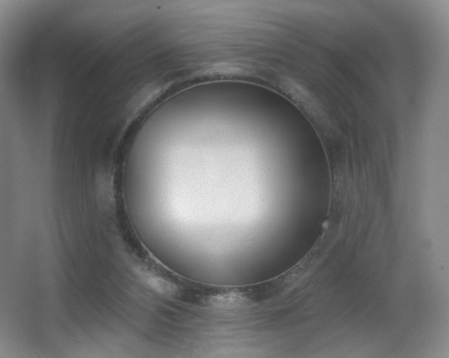 X0000066990112200603241326