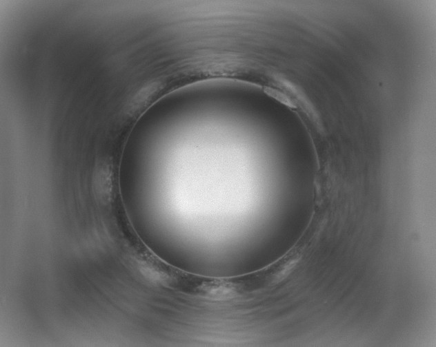 X0000066990113200603241326