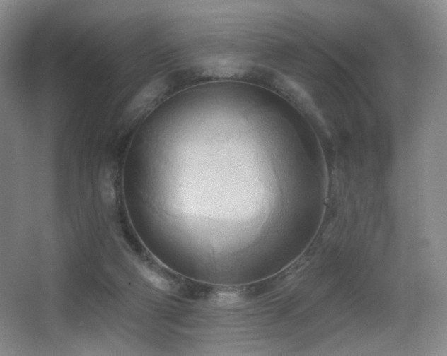 X0000066990114200603241326
