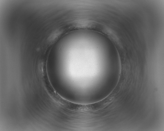 X0000066990115200603241326