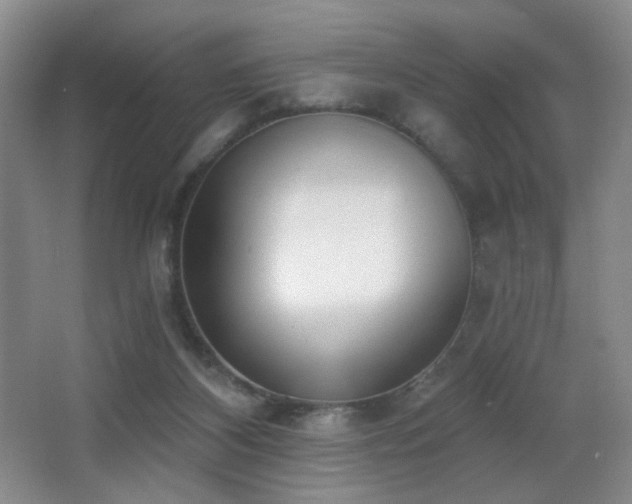 X0000066990116200603241326