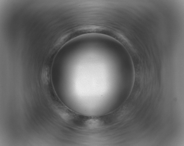 X0000066990119200603241326