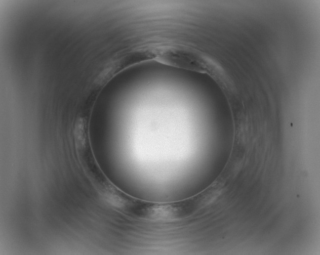X0000066990121200603241326