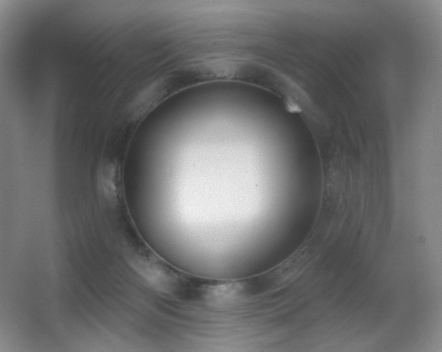 X0000066990122200603241326