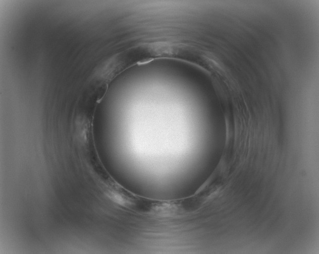 X0000066990125200603241326