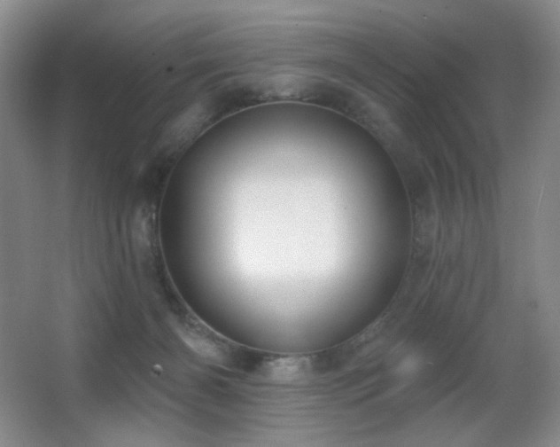 X0000066990126200603241326
