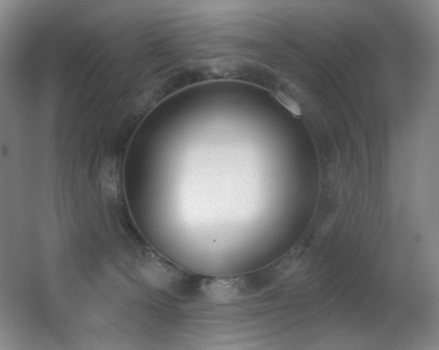 X0000066990129200603241326