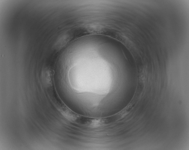 X0000066990130200603241326