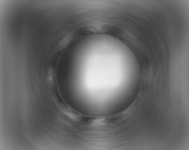 X0000066990132200603241326